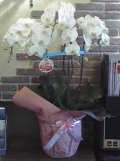 c0096582_18415334.jpg