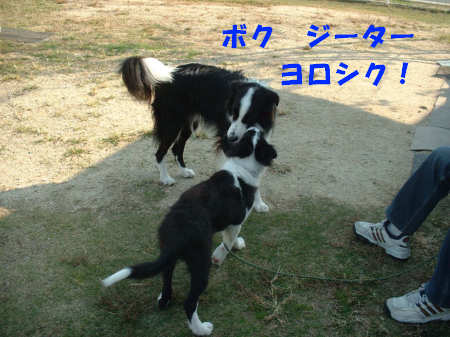 c0120585_9435184.jpg