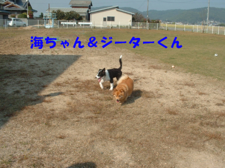 c0120585_9442979.jpg