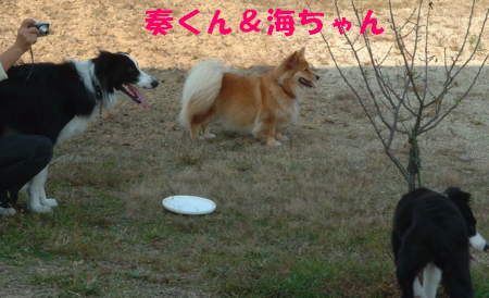 c0120585_944872.jpg