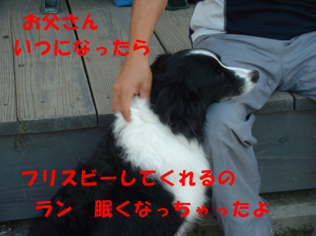c0120585_9461368.jpg