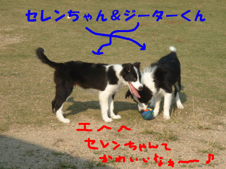 c0120585_9464435.jpg