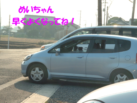 c0120585_9482484.jpg