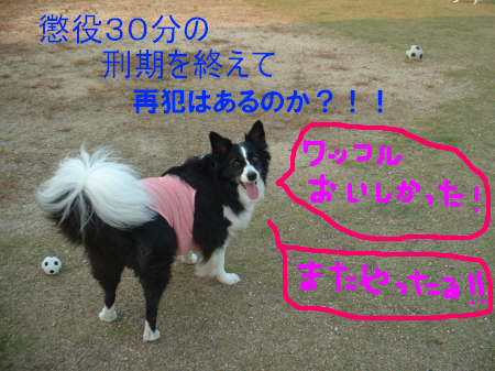 c0120585_9495646.jpg