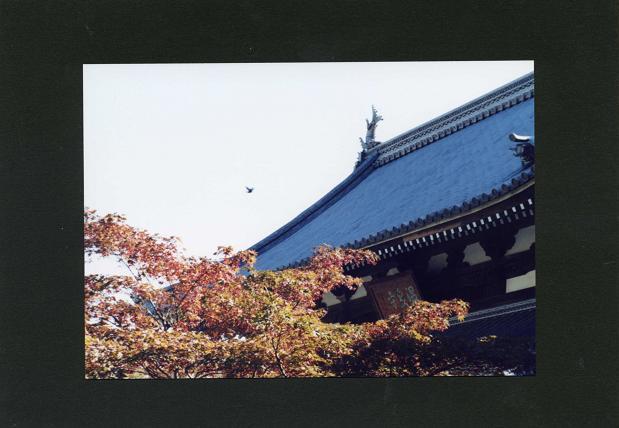 c0046587_2381010.jpg