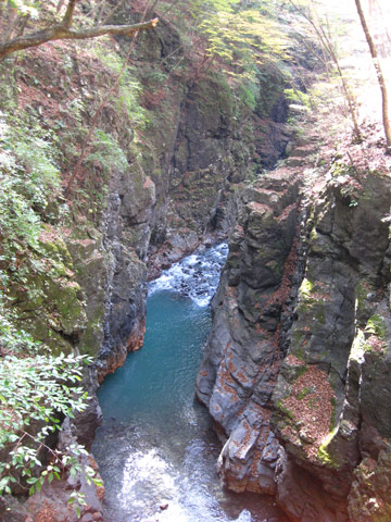 f0110488_013194.jpg
