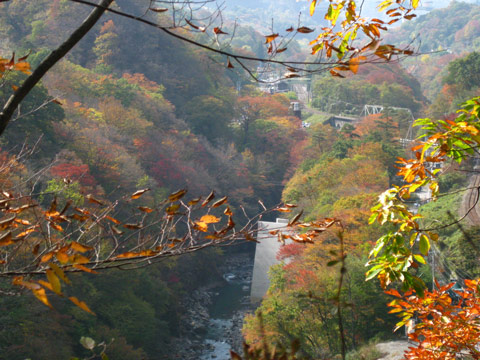 f0110488_053996.jpg