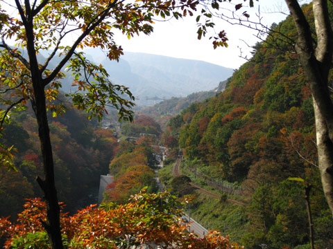 f0110488_06276.jpg