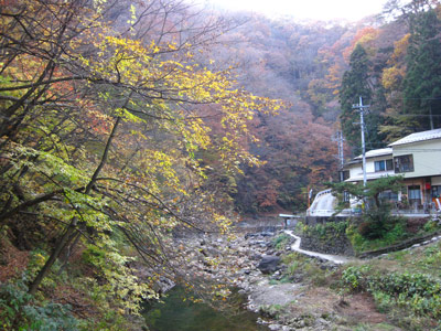 f0110488_231629.jpg