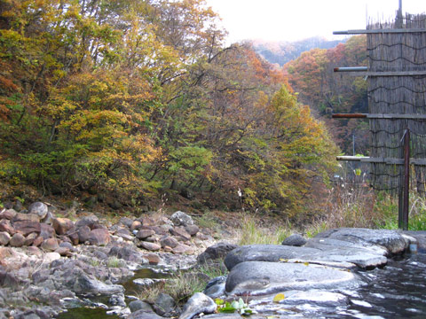 f0110488_23281570.jpg