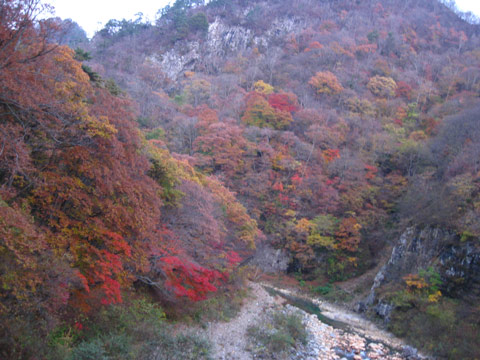 f0110488_23342415.jpg