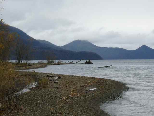 a0118989_2124621.jpg