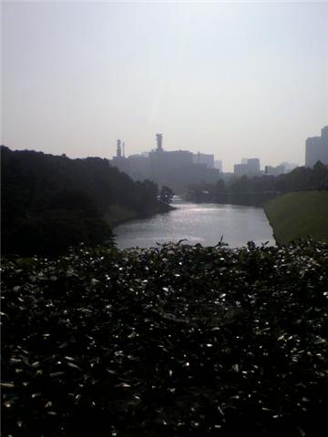 f0189791_0574446.jpg