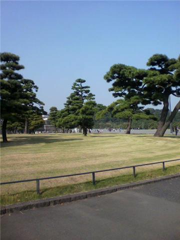 f0189791_05797.jpg