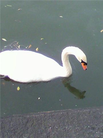 f0189791_0581867.jpg
