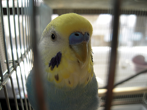 d0131293_2062883.jpg