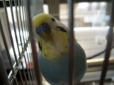 d0131293_2063323.jpg