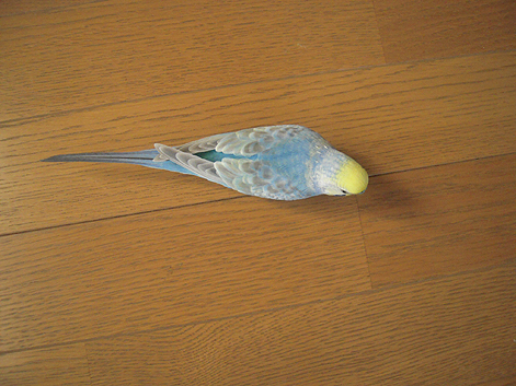 d0131293_2073022.jpg