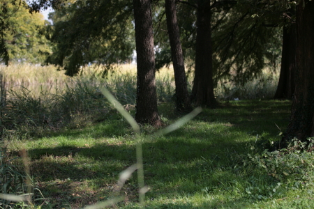 d0133693_18504550.jpg