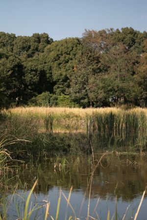 d0133693_18505044.jpg