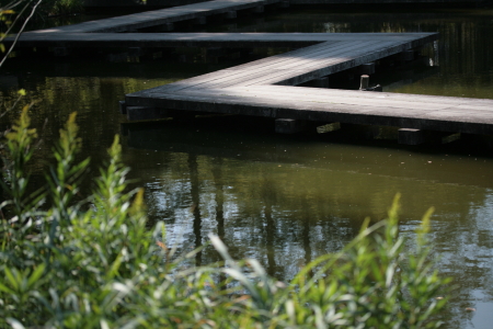 d0133693_185055100.jpg