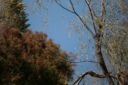 d0133693_1851647.jpg