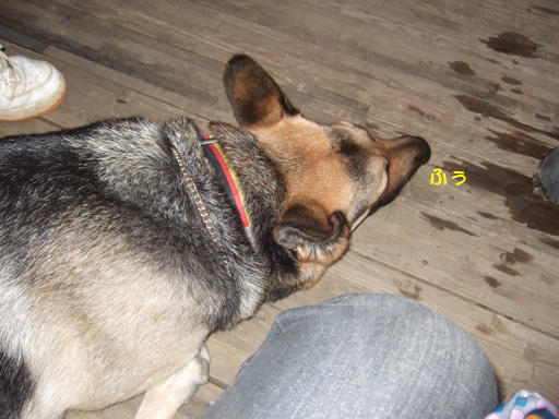 e0060693_236175.jpg