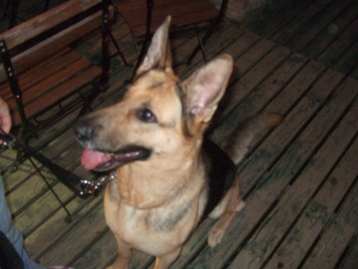 e0060693_2394342.jpg