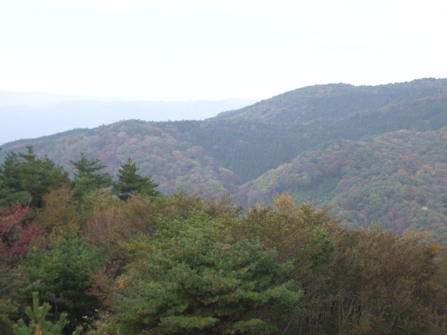 a0061594_1864490.jpg