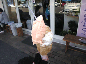 b0174996_11161148.gif