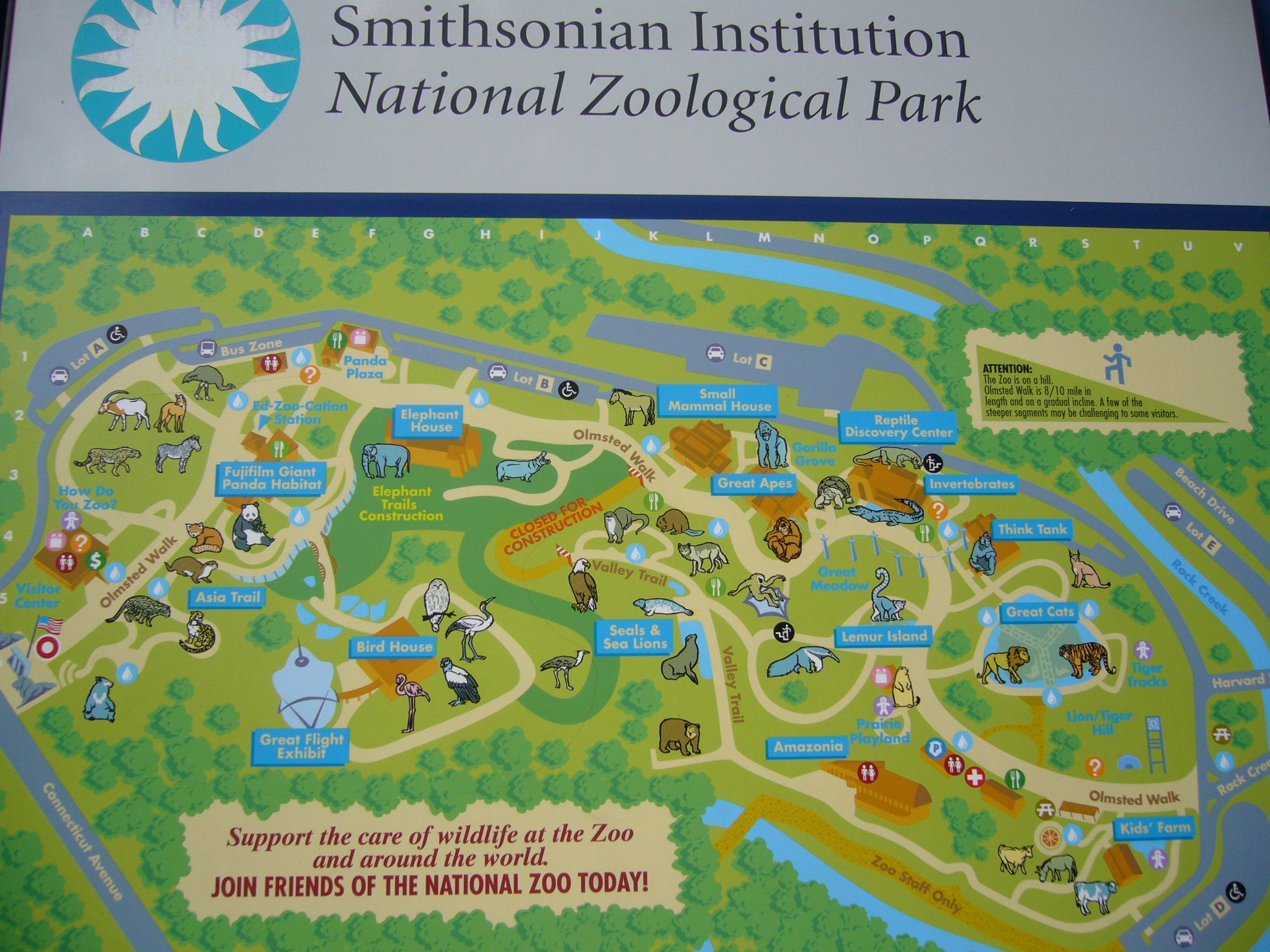 f0169397_6331796.jpg