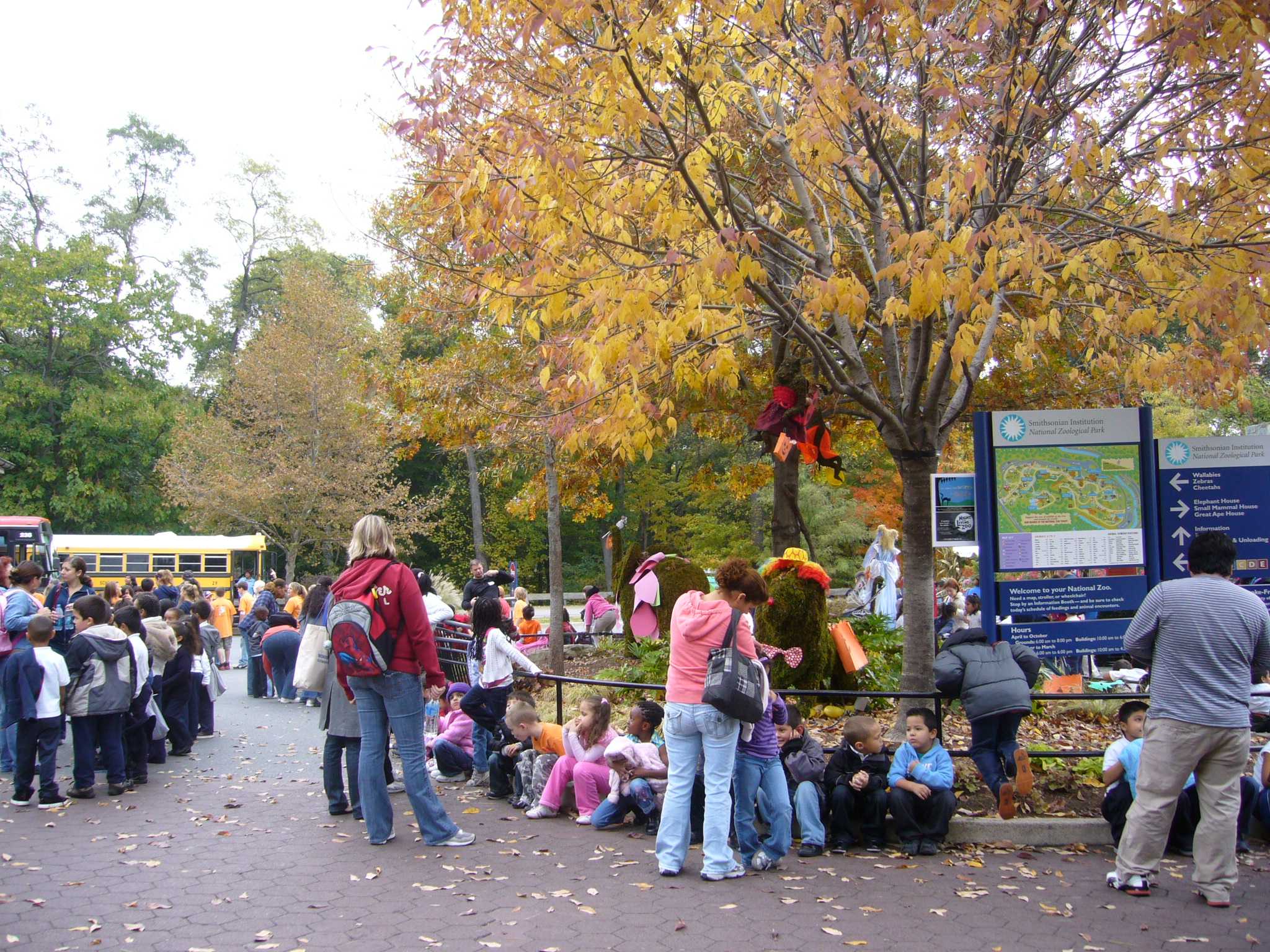 f0169397_6342261.jpg