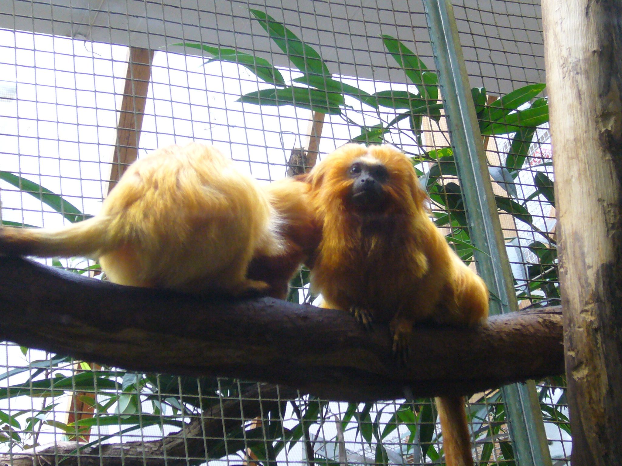 f0169397_6344356.jpg