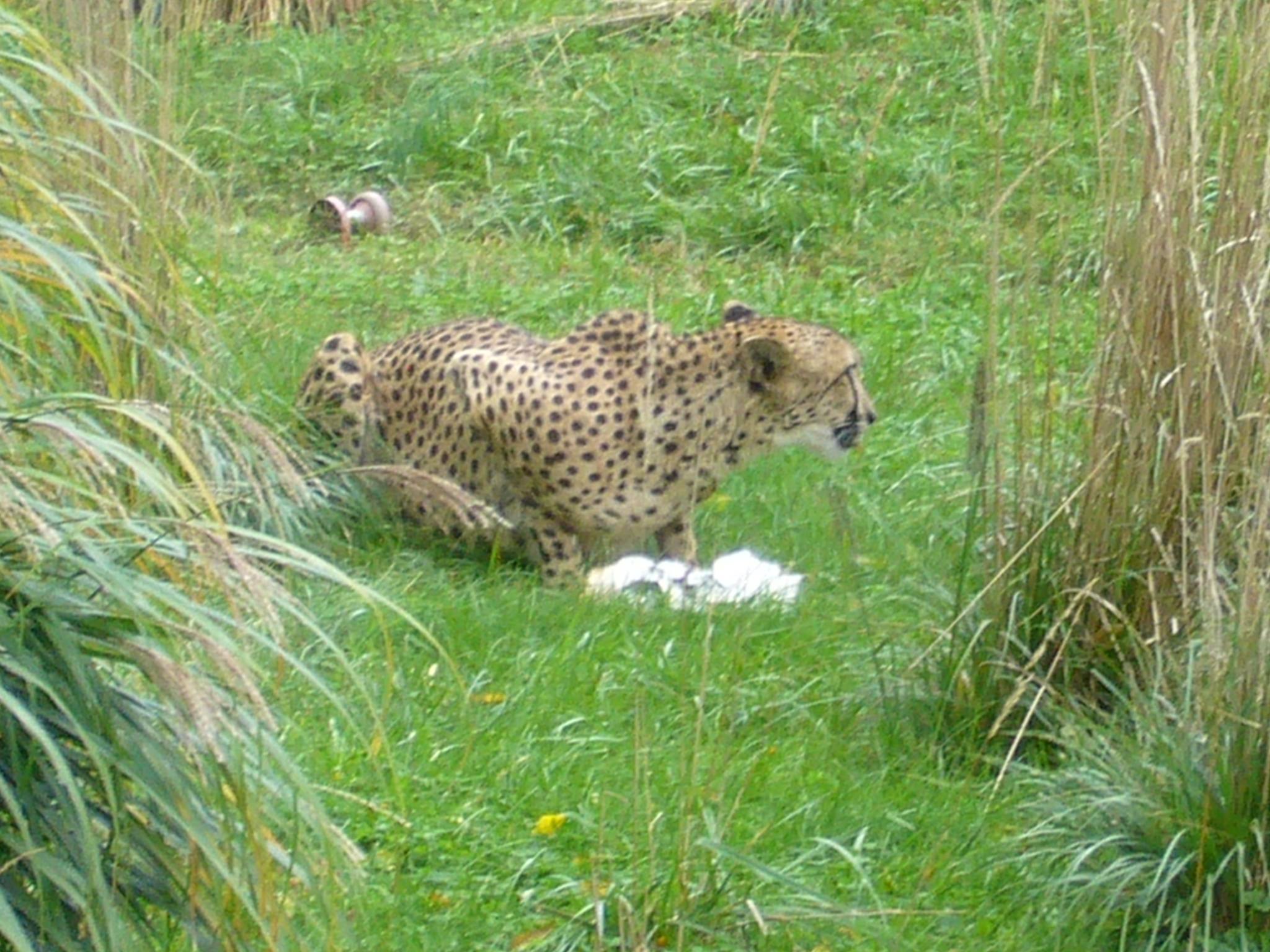 f0169397_635089.jpg
