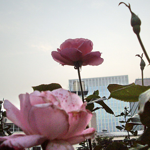 c0138198_17543642.jpg