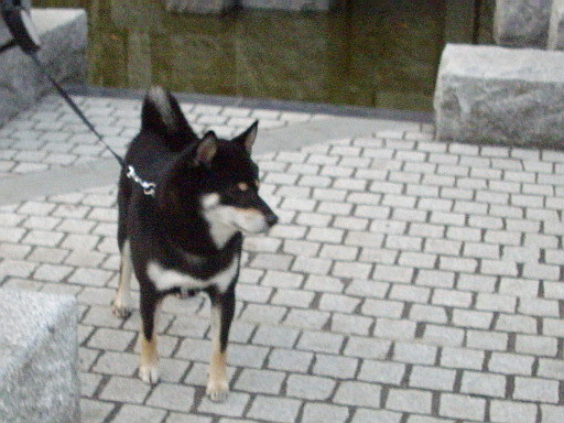 c0138198_180116.jpg