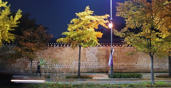 e0166398_241552.jpg