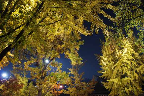 e0166398_261389.jpg