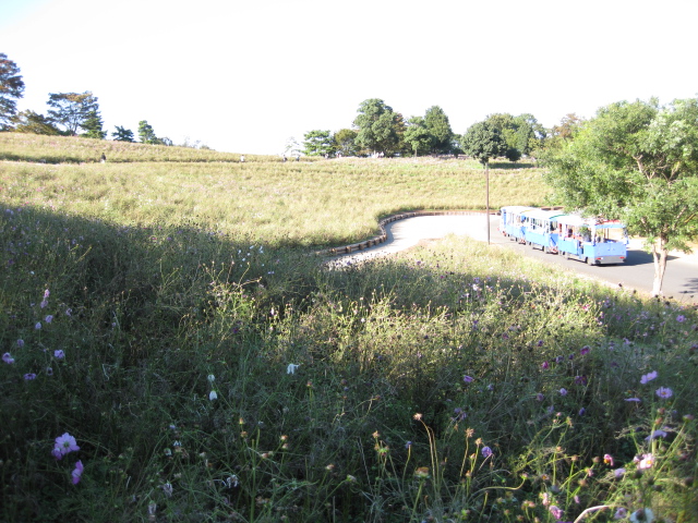 d0070702_22543730.jpg