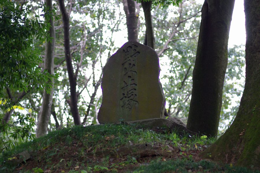 c0187503_22161236.jpg