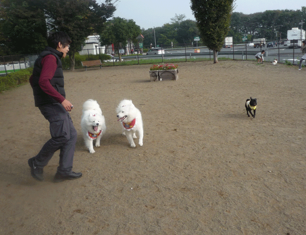 e0018604_1415098.gif