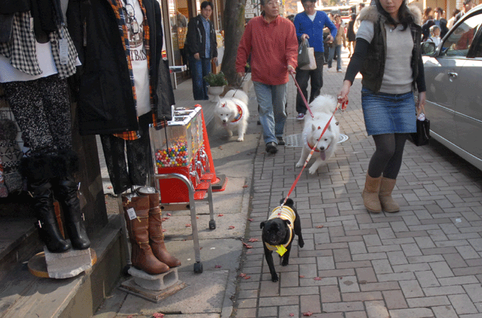 e0018604_14173514.gif