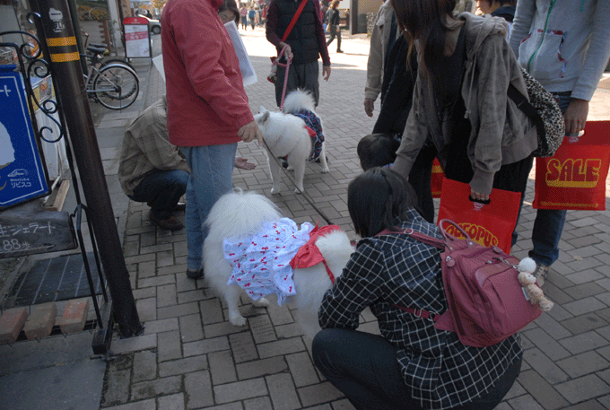 e0018604_14214656.gif