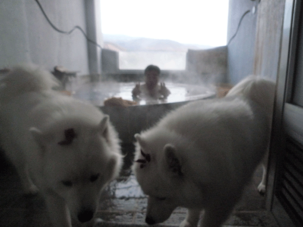 e0018604_14295497.gif
