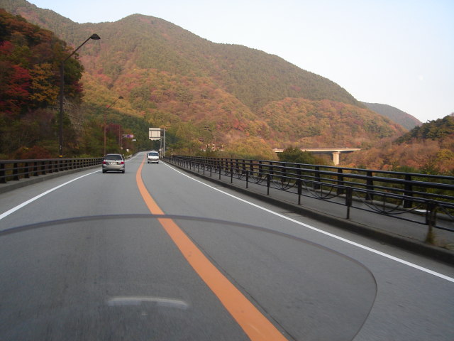 a0116205_2032088.jpg
