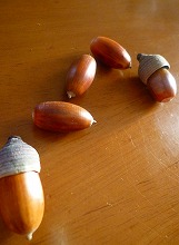 c0148705_2035060.jpg