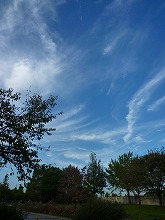 c0148705_2073674.jpg
