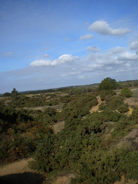 e0160905_6584662.jpg