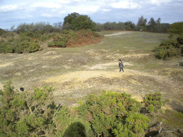 e0160905_772353.jpg