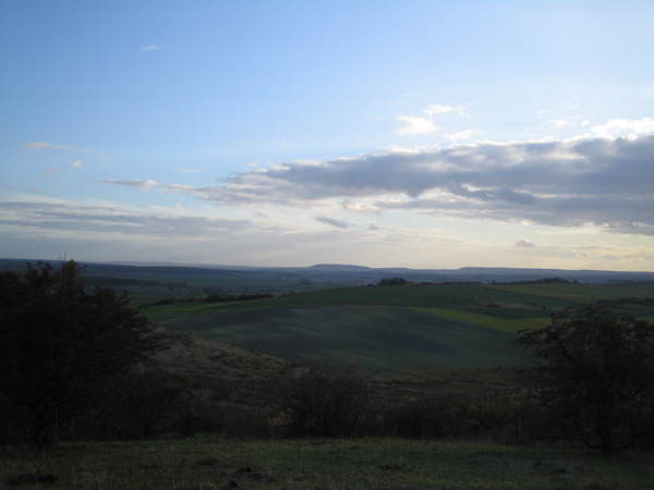 d0135907_2535657.jpg